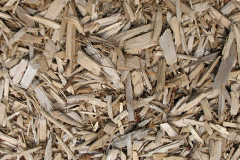 biomass boilers Tredavoe